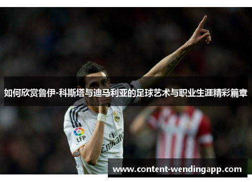 如何欣赏鲁伊-科斯塔与迪马利亚的足球艺术与职业生涯精彩篇章