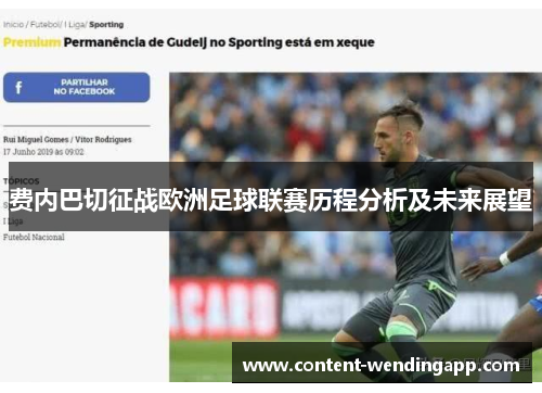 费内巴切征战欧洲足球联赛历程分析及未来展望 费内巴切征战欧洲足球联赛历程分析及未来展望
