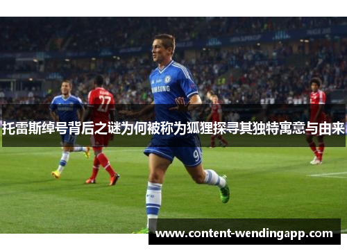 托雷斯绰号背后之谜为何被称为狐狸探寻其独特寓意与由来