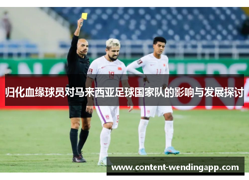 归化血缘球员对马来西亚足球国家队的影响与发展探讨